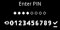 generic Enter PIN last digit